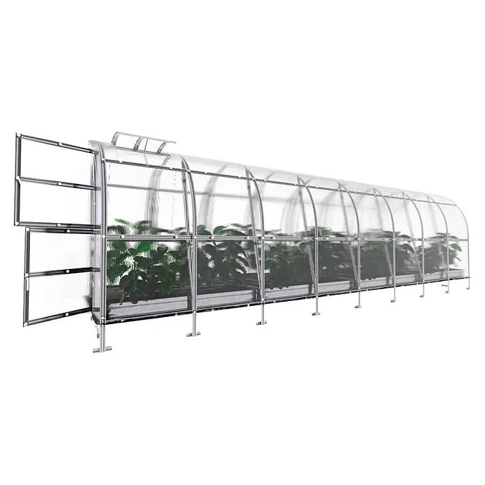 Klasika Greenhouses Gewächshaus Slim Klasika - Außenmaß inkl. Dachüberstand (B x T): 200 x 800 cm, Material Seitenwand: Kunststoff, 6 mm, SIlbergrau - Langes, transparentes Gewächshaus mit Metallrahmen und grünen Pflanzen. Ein Ende hat eine offene, mehrteilige Tür.