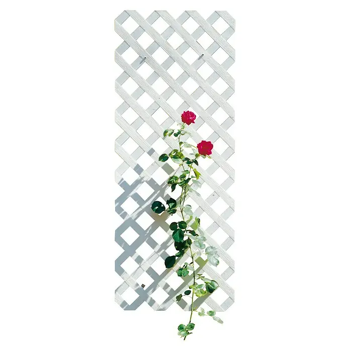 Videx Rankgitter Coventry - 120 x 60 cm, Kunststoff, Weiß - Weißes Rankgitter mit roten Rosen, ideal zur Dekoration von Gärten und Terrassen. Das Klettergitter bietet Pflanzen Halt und verschönert jeden Außenbereich.