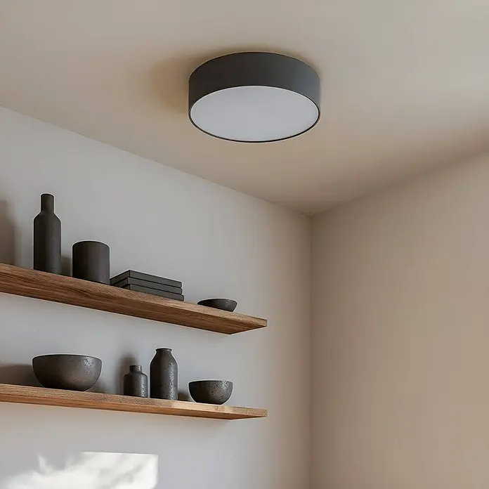 Lindby Deckenleuchte Sebatin - alu / grau / zink, alu / grau / zink, E27 - Eine dunkelgraue, runde Deckenleuchte mit weißem Diffusor, die einen Raum mit Holzregalen beleuchtet.