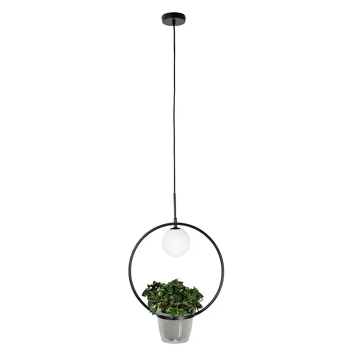 Lindby Pendelleuchte Orna - L x B x H: 40 x 17,2 x 12,4 cm, Schwarz, opal, G9 - Schwarze Pendelleuchte mit weißer Kugel, umgeben von einem schwarzen Metallring, der einen transparenten Pflanztopf mit grünen Pflanzen hält.