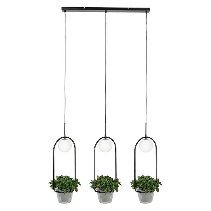 Lindby Pendelleuchte Orna - L x B x H: 99 x 17 x 12,4 cm, Schwarz, opal, G9 - Drei schwarze Hängeleuchten mit satinierten Kugeln und integrierten grauen Pflanztöpfen.