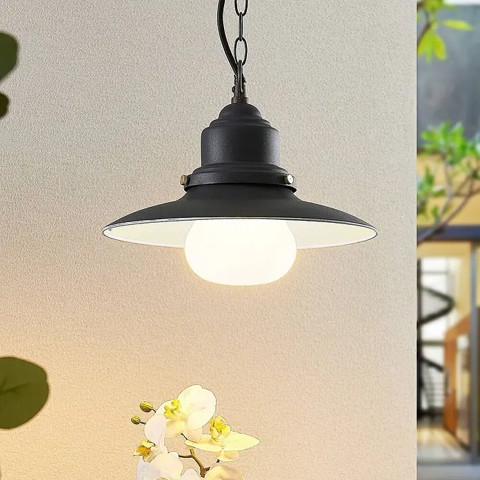 Lindby Außenwand- & Deckenleuchte Roisin - alu / grau / zink, alu / grau / zink, IP44 - Schwarze Metall-Pendelleuchte mit kugelförmiger Glühbirne, in einem Raum mit Pflanzen hängend.