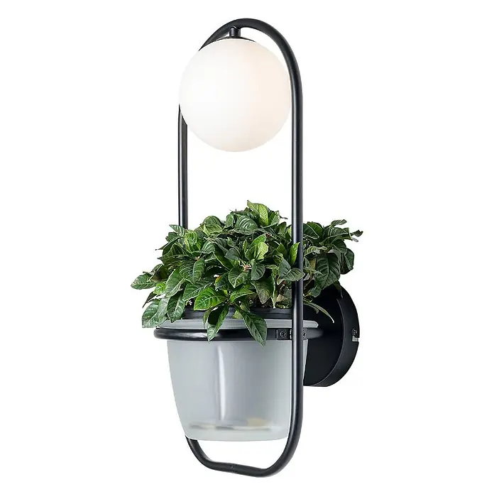Lindby Wandleuchte Orna - L x B x H: 20,5 x 20,9 x 49 cm, schwarz, G9 - Schwarze Metall-Wandleuchte mit weißer Kugellampe und integriertem mattgrauem Pflanzgefäß mit Grünpflanze.