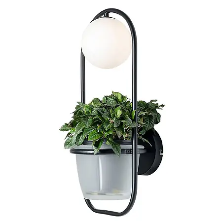 Lindby  Wandleuchte Orna