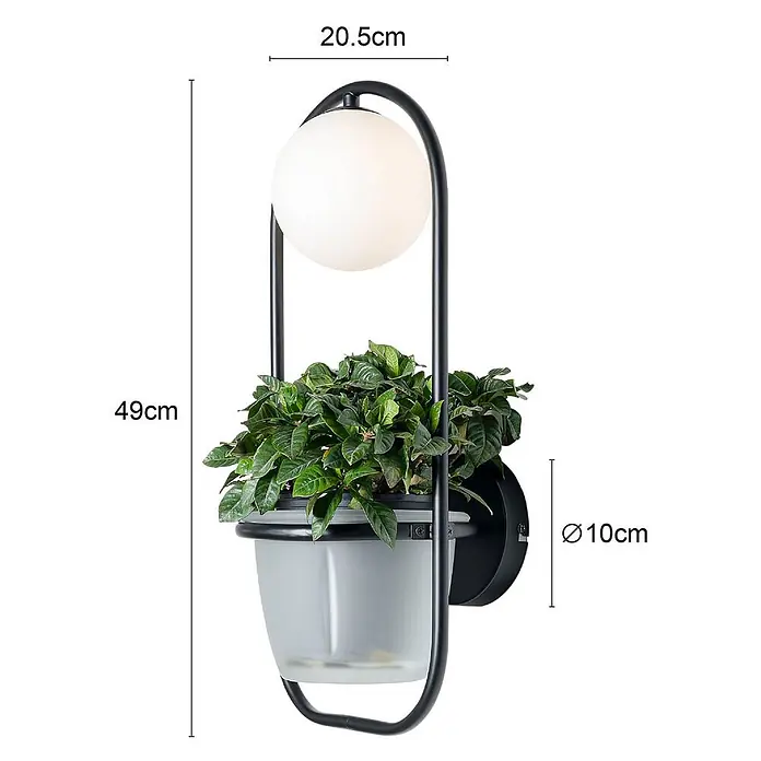 Lindby Wandleuchte Orna - L x B x H: 20,5 x 20,9 x 49 cm, schwarz, G9 - Schwarze Metall-Wandleuchte mit weißer Kugellampe und integriertem grauem Pflanzgefäß mit Grünpflanze. Maße: 49cm H x 20.5cm B, mit 10cm Durchmesser Wandplatte.