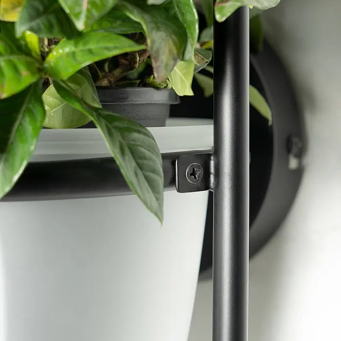 Lindby Wandleuchte Orna - L x B x H: 20,5 x 20,9 x 49 cm, schwarz, G9 - Schwarze Metallhalterung mit Kreuzschlitzschraube, die einen weißen Pflanztopf mit Grünpflanze hält.