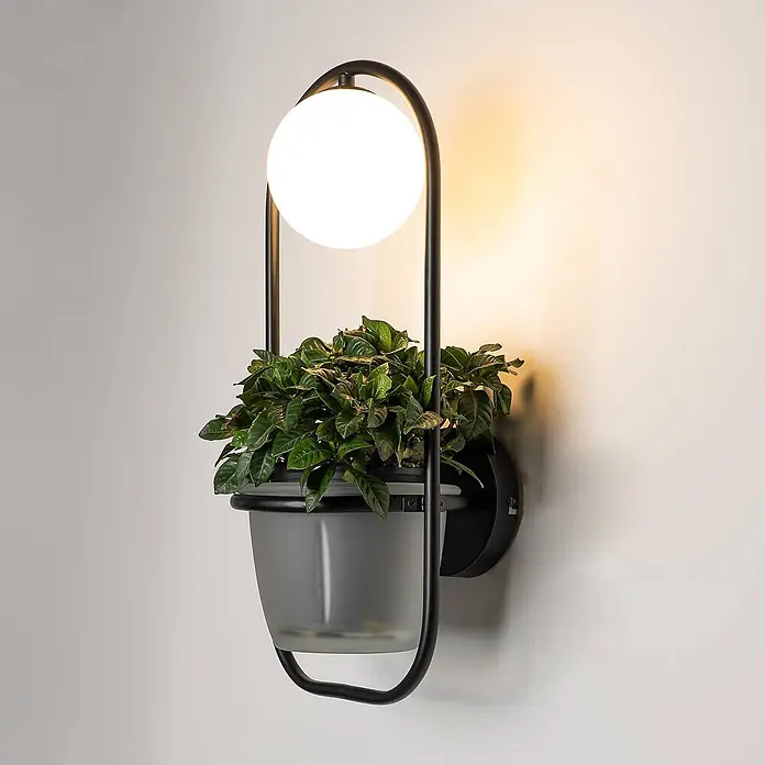 Lindby Wandleuchte Orna - L x B x H: 20,5 x 20,9 x 49 cm, schwarz, G9 - Schwarze Metall-Wandleuchte mit kugelförmigem weißem Leuchtmittel und integriertem transluzent-grauem Pflanzgefäß mit Grünpflanze.