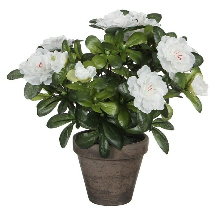 Planta artificial Azalea blanca (Altura: 27 cm, Plástico)