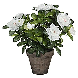 Planta artificial Azalea (Altura: 27 cm, Blanco, Plástico)