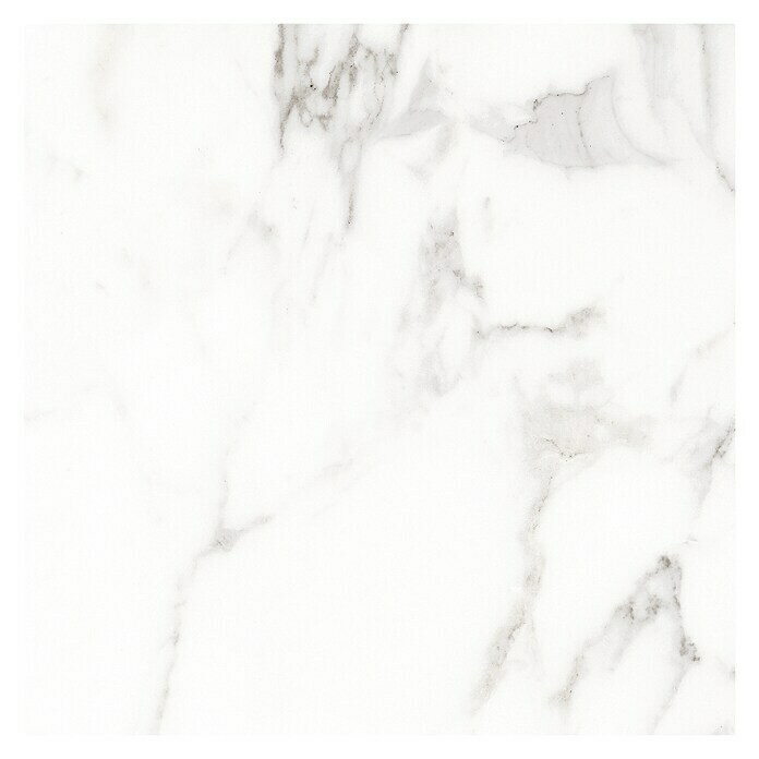 Pavimento porcelánico Palatina (60,5 x 60,5 cm, Blanco Carrara, Mate)