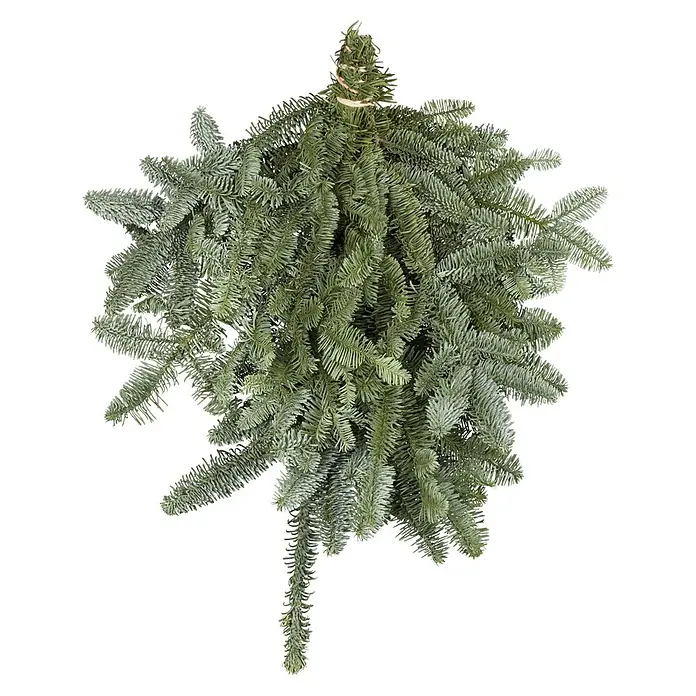 Piardino Nobilis Tannenreisig - Handbund, 500 g - Hier ist ein detailreiches Bild eines üppigen Tannenzweigs, ideal für Weihnachtsdekorationen und festliche Arrangements.