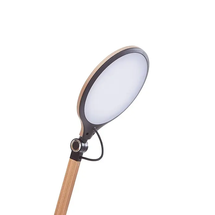 Lindby Tischleuchte Nyxaris - L x B x H: 55,7 x 20,1 x 49,7 cm, messing / gold, messing / gold - Ovale LED-Schreibtischlampe mit hellem Holzschaft und schwarzem, verstellbarem Gelenk.