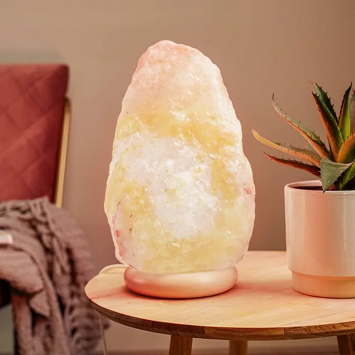 Envostar Tischleuchte Harmony - rot, E14 - Leuchtende Himalaya-Salzlampe auf Holztisch neben Sukkulente, in warmem Raum.