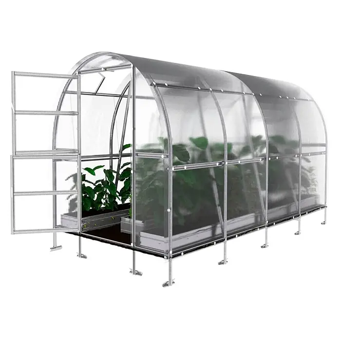 Klasika Greenhouses Gewächshaus Slim Klasika - Außenmaß inkl. Dachüberstand (B x T): 200 x 400 cm, Material Seitenwand: Kunststoff, 4 mm, Silbergrau - Transparentes Bogengewächshaus mit silbernem Metallrahmen und geöffneter Tür, mit grünen Pflanzen.
