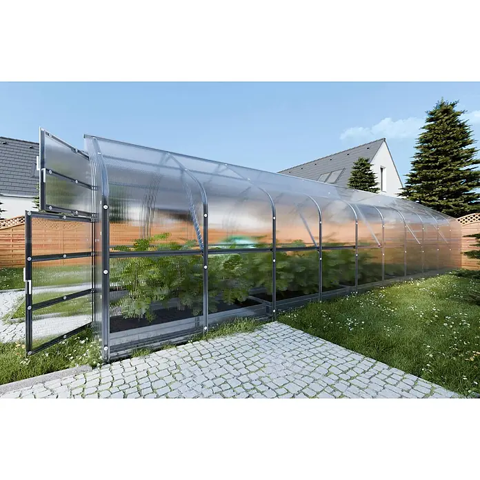 Klasika Greenhouses Gewächshaus Drop Klasika - Außenmaß inkl. Dachüberstand (B x T): 250 x 1.200 cm, Material Seitenwand: Kunststoff, 6 mm, Silbergrau - Ein großes, gewölbtes Gewächshaus mit transparenten Wellplatten und dunklem Rahmen, gefüllt mit Pflanzen, im Garten mit offener Tür.