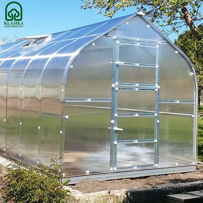 Klasika Greenhouses Gewächshaus Standart Klasika - Außenmaß inkl. Dachüberstand (B x T): 250 x 800 cm, Material Seitenwand: Kunststoff, 6 mm, Silbergrau - Transparentes Polycarbonat-Gewächshaus mit silbernem Metallrahmen und Bogendach, im Garten aufgestellt.