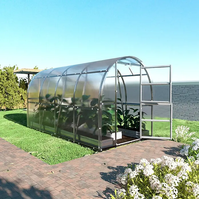 Klasika Greenhouses Gewächshaus Slim Klasika - Außenmaß inkl. Dachüberstand (B x T): 200 x 400 cm, Material Seitenwand: Kunststoff, 4 mm, Silbergrau - Großes, gewölbtes transparentes Gewächshaus mit Metallrahmen und offener Tür, gefüllt mit Pflanzen in einem sonnigen Garten.