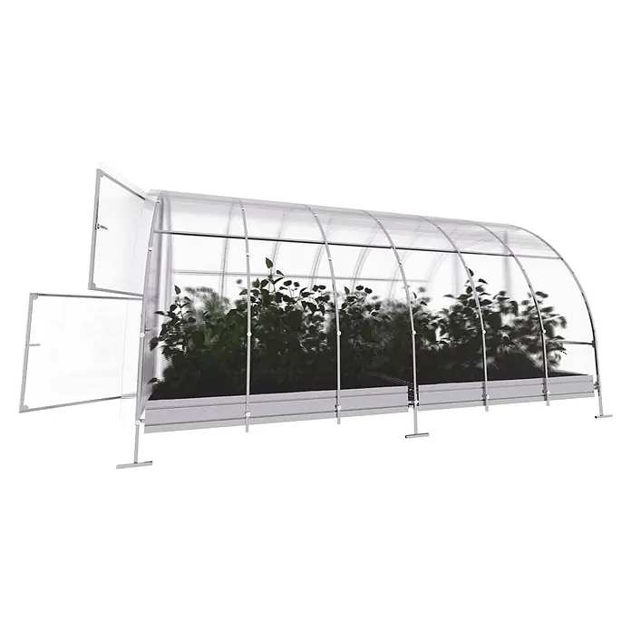 Klasika Greenhouses Gewächshaus Easy Klasika - Außenmaß inkl. Dachüberstand (B x T): 300 x 400 cm, Material Seitenwand: Kunststoff, 4 mm, Silbergrau - Transparentes Tunnelgewächshaus mit silbernem Rahmen und wachsenden Pflanzen. Eine Tür an einem Ende ist geöffnet.