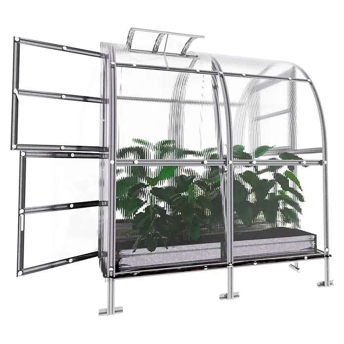 Klasika Greenhouses Gewächshaus Slim Klasika - Außenmaß inkl. Dachüberstand (B x T): 200 x 200 cm, Material Seitenwand: Kunststoff, 6 mm, Silbergrau - Kleines, gewölbtes Gewächshaus mit transparenten Paneelen, silbernem Rahmen, offener Tür und grünen Pflanzen.