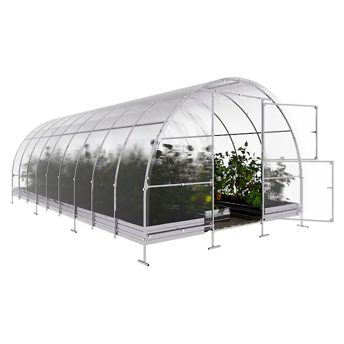 Klasika Greenhouses Gewächshaus Easy Klasika - Außenmaß inkl. Dachüberstand (B x T): 300 x 600 cm, Material Seitenwand: Kunststoff, 4 mm, Silbergrau - Gewölbtes Polycarbonat-Gewächshaus mit weißem Rahmen, Pflanzen und geöffneten Doppeltüren.