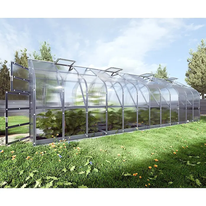 Klasika Greenhouses Gewächshaus Standart Klasika - Außenmaß inkl. Dachüberstand (B x T): 250 x 800 cm, Material Seitenwand: Kunststoff, 4 mm, Silbergrau - Langes, tunnelförmiges Gewächshaus aus Polycarbonat mit geöffneten Dachlüftungen und Tür, in einem grasbewachsenen Außenbereich mit Pflanzen.