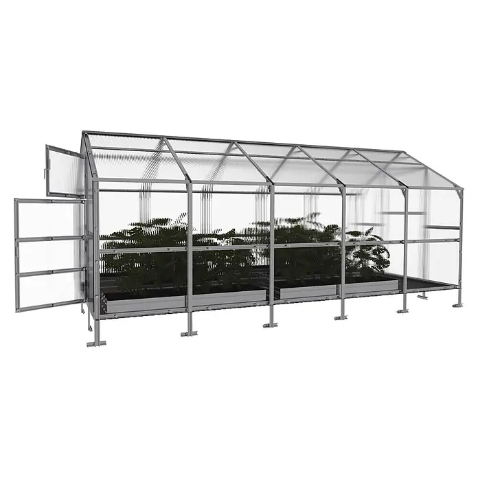 Klasika Greenhouses Gewächshaus Bernard Klasika - Außenmaß inkl. Dachüberstand (B x T): 235 x 500 cm, Material Seitenwand: Kunststoff, 6 mm, Silbergrau - Langes transparentes Gewächshaus mit silbernem Rahmen, offener Tür und wachsenden Pflanzen.