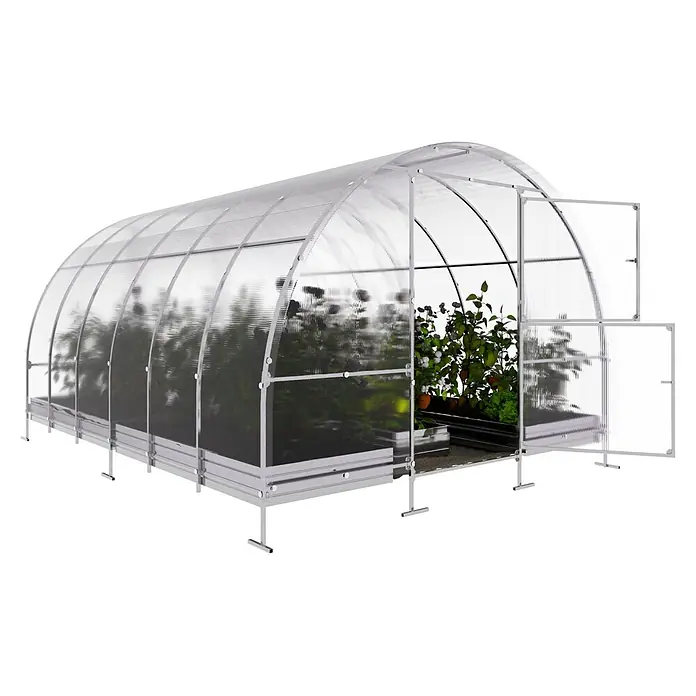 Klasika Greenhouses Gewächshaus Easy Klasika - Außenmaß inkl. Dachüberstand (B x T): 300 x 400 cm, Material Seitenwand: Kunststoff, 4 mm, Silbergrau - Transparentes Gewächshaus mit weißem Rahmen, Wellplatten und Pflanzen darin. Vordertür geöffnet.