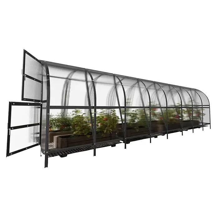 Klasika Greenhouses Gewächshaus Baltic Lt Klasika - Außenmaß inkl. Dachüberstand (B x T): 300 x 800 cm, Material Seitenwand: Kunststoff, 6 mm, Silbergrau - Langes, transparentes Bogengewächshaus mit dunklem Rahmen und offener Doppeltür, mit Pflanzen in Holzkästen.