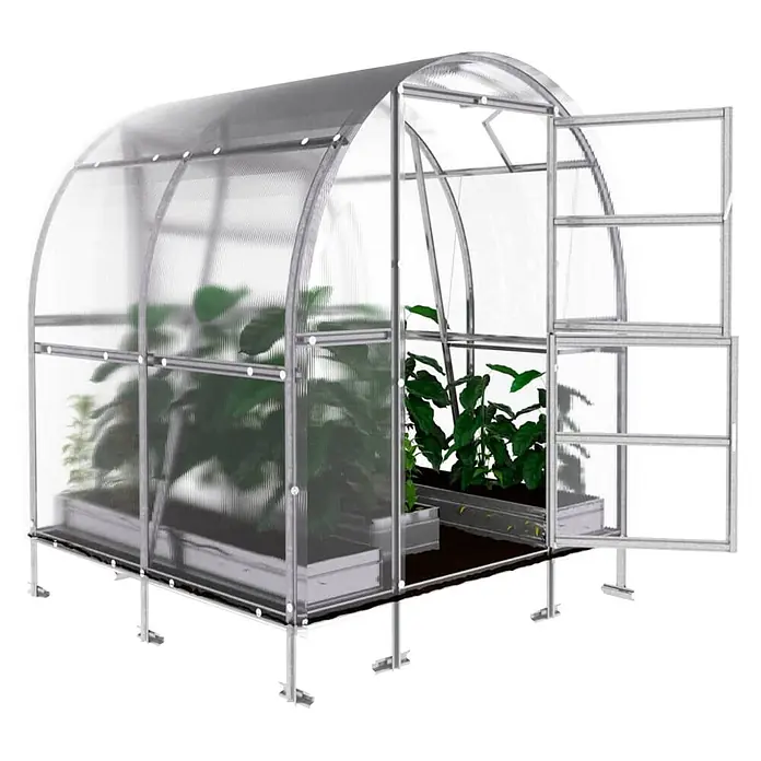 Klasika Greenhouses Gewächshaus Slim Klasika - Außenmaß inkl. Dachüberstand (B x T): 200 x 200 cm, Material Seitenwand: Kunststoff, 6 mm, Silbergrau - Transparentes Gewächshaus mit silbernem Rahmen, Bogen-/Tonnendach und Pflanzen. Tür offen.