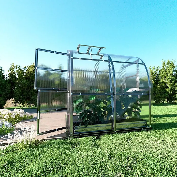 Klasika Greenhouses Gewächshaus Slim Klasika - Außenmaß inkl. Dachüberstand (B x T): 200 x 200 cm, Material Seitenwand: Kunststoff, 6 mm, Silbergrau - Gewölbtes Gewächshaus mit transparenten Platten und dunklem Rahmen auf Rasen, Tür und Dachluke offen, Pflanzen sichtbar.