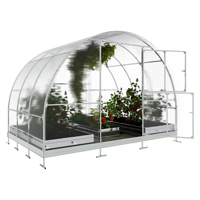 Klasika Greenhouses Gewächshaus Tube Klasika - Außenmaß inkl. Dachüberstand (B x T): 300 x 200 cm, Material Seitenwand: Kunststoff, 6 mm, Silbergrau - Gewölbtes Polycarbonat-Gewächshaus mit weißem Metallrahmen, Pflanzen in Hochbeeten und offenen Doppeltüren.