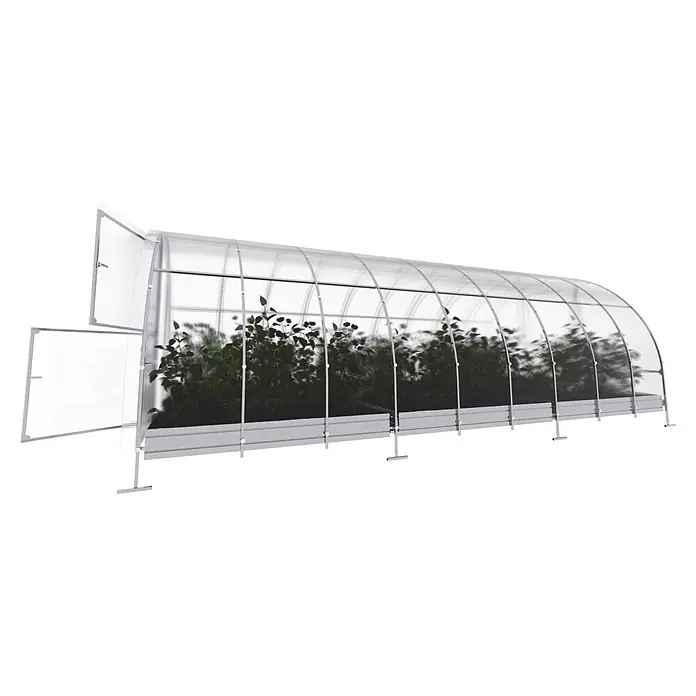 Klasika Greenhouses Gewächshaus Easy Klasika - Außenmaß inkl. Dachüberstand (B x T): 300 x 600 cm, Material Seitenwand: Kunststoff, 4 mm, Silbergrau - Transparenter Folientunnel mit silbernem Metallrahmen, Pflanzen sichtbar, und offenem Stirnpanel.