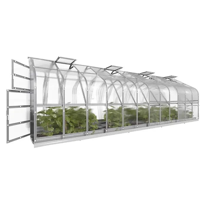 Klasika Greenhouses Gewächshaus Standart Klasika - Außenmaß inkl. Dachüberstand (B x T): 250 x 800 cm, Material Seitenwand: Kunststoff, 6 mm, Silbergrau - Gewächshaus mit silbernem Rahmen, lichtdurchlässigen Platten, Flügeltüren und Dachlüftungen, enthält grüne Pflanzen.