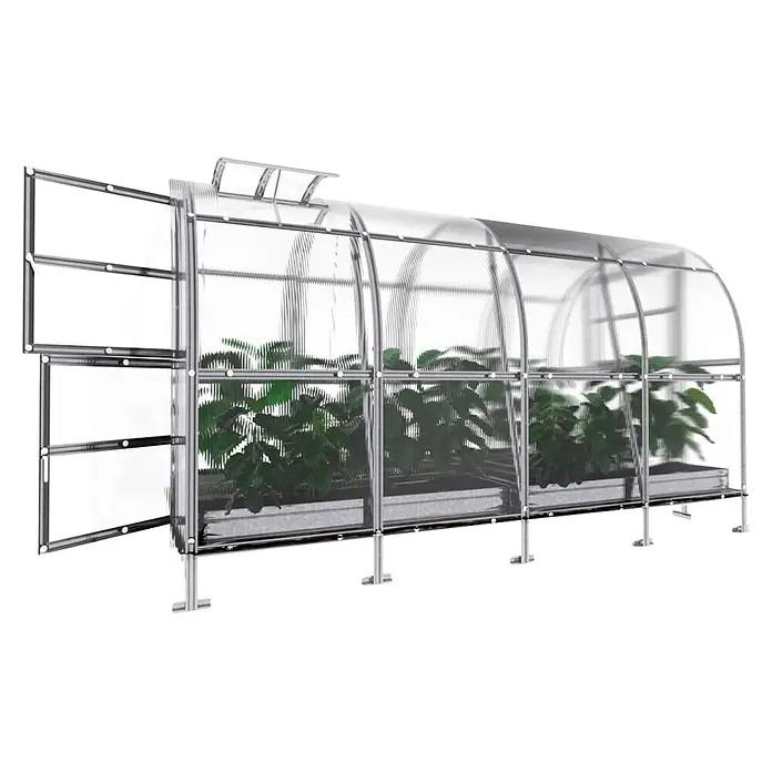 Klasika Greenhouses Gewächshaus Slim Klasika - Außenmaß inkl. Dachüberstand (B x T): 200 x 400 cm, Material Seitenwand: Kunststoff, 4 mm, Silbergrau - Ein gewölbtes Gewächshaus mit transparenten Paneelen und silbernem Metallrahmen, mit offener Tür und wachsenden Pflanzen.
