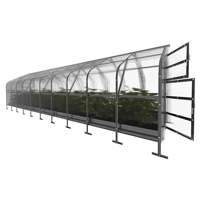 Klasika Greenhouses Gewächshaus Drop Klasika - Außenmaß inkl. Dachüberstand (B x T): 250 x 1.200 cm, Material Seitenwand: Kunststoff, 6 mm, Silbergrau - Langes, tunnelförmiges Gewächshaus mit transparenten Paneelen, dunklem Rahmen und grünen Pflanzen. Ein Ende hat offene Türen.