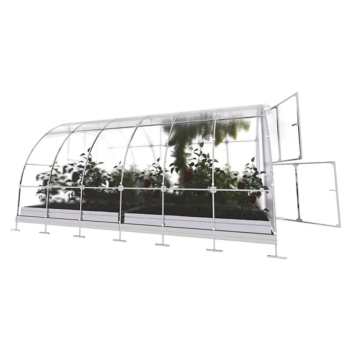 Klasika Greenhouses Gewächshaus Tube Klasika - Außenmaß inkl. Dachüberstand (B x T): 300 x 400 cm, Material Seitenwand: Kunststoff, 4 mm, Silbergrau - Transparentes Mini-Gewächshaus mit weißem Rahmen und grünen Pflanzen.
