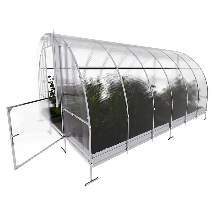 Klasika Greenhouses Gewächshaus Easy Klasika - Außenmaß inkl. Dachüberstand (B x T): 300 x 400 cm, Material Seitenwand: Kunststoff, 4 mm, Silbergrau - Gewölbtes Polycarbonat-Gewächshaus mit offener Tür, das grüne Pflanzen im Inneren zeigt.