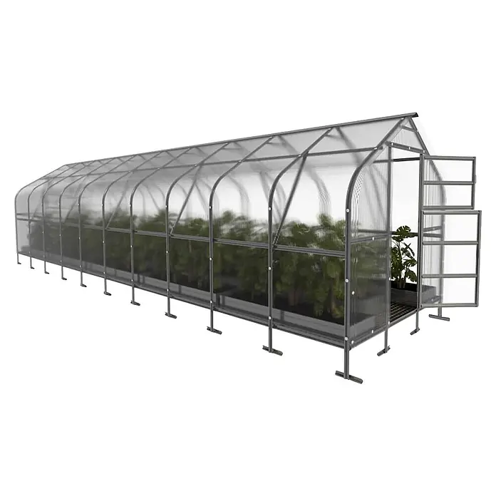Klasika Greenhouses Gewächshaus Drop Klasika - Außenmaß inkl. Dachüberstand (B x T): 250 x 1.200 cm, Material Seitenwand: Kunststoff, 6 mm, Silbergrau - Langes transparentes Gewächshaus mit grauem Rahmen, Pflanzen sichtbar, Tür offen.