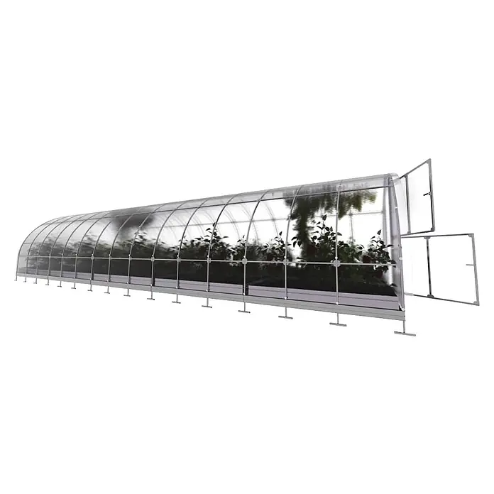 Klasika Greenhouses Gewächshaus Tube Klasika - Außenmaß inkl. Dachüberstand (B x T): 300 x 1.000 cm, Material Seitenwand: Kunststoff, 4 mm, Silbergrau - Transparentes Gewächshaus mit grauem Rahmen und sichtbaren Pflanzen. Zwei Seitenfenster sind zur Belüftung geöffnet.