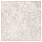 Cersanit Porculanska pločica Ushley  (59,8 x 59,8 cm, Svijetlo siva, Mat) | BAUHAUS
