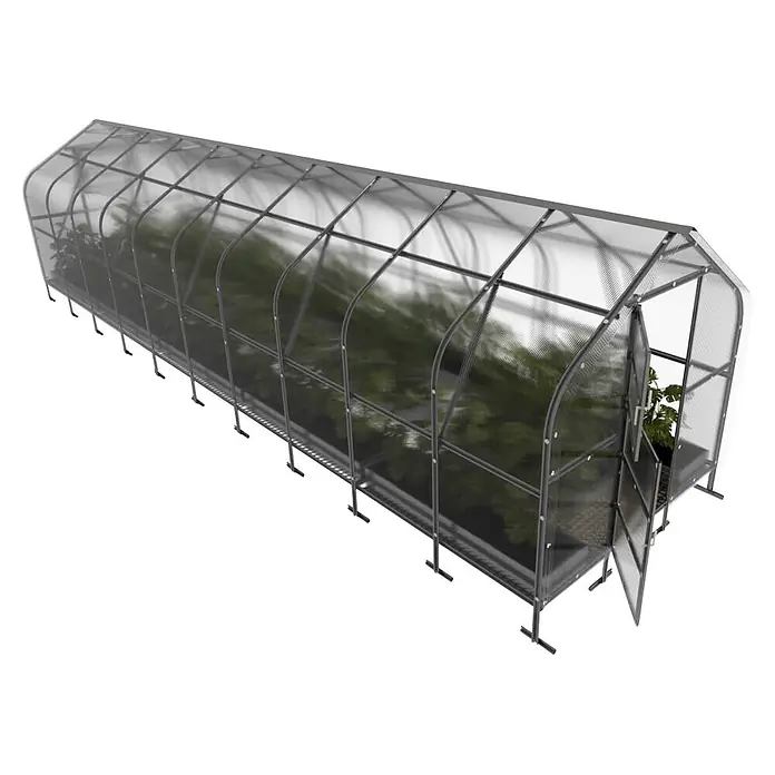 Klasika Greenhouses Gewächshaus Drop Klasika - Außenmaß inkl. Dachüberstand (B x T): 250 x 1.200 cm, Material Seitenwand: Kunststoff, 6 mm, Silbergrau - Langes, tunnelförmiges Gewächshaus mit transparenten Platten und dunklem Metallrahmen, mit grünen Pflanzen darin. Eine Tür ist an einem Ende geöffnet.