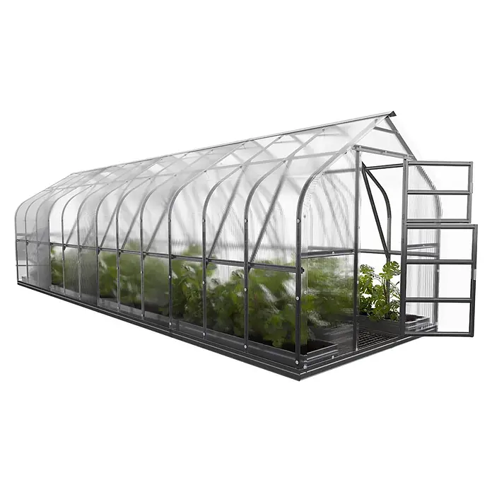 Klasika Greenhouses Gewächshaus Standart Klasika - Außenmaß inkl. Dachüberstand (B x T): 250 x 800 cm, Material Seitenwand: Kunststoff, 6 mm, Silbergrau - Langes, transparentes Gewächshaus mit dunkelgrauem Rahmen und offener Tür, mit grünen Pflanzen.