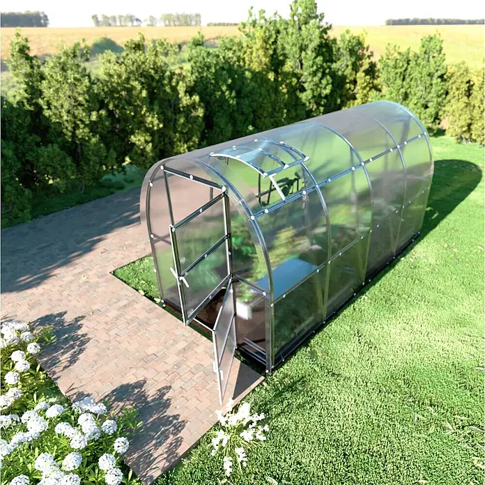 Klasika Greenhouses Gewächshaus Slim Klasika - Außenmaß inkl. Dachüberstand (B x T): 200 x 400 cm, Material Seitenwand: Kunststoff, 4 mm, Silbergrau - Gewölbtes transparentes Gewächshaus mit Metallrahmen, offener Tür und Dachluke, in einem sonnigen Garten.