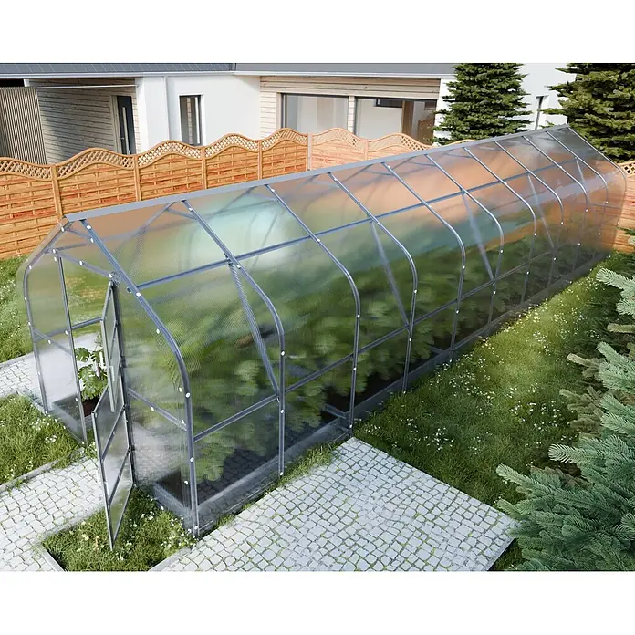 Klasika Greenhouses Gewächshaus Drop Klasika - Außenmaß inkl. Dachüberstand (B x T): 250 x 1.200 cm, Material Seitenwand: Kunststoff, 6 mm, Silbergrau - Langes Gewächshaus mit transparenten Polycarbonatplatten und grauem Rahmen, voller Pflanzen im Garten mit Steinweg.