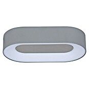 Lutec Aplique exterior LED Ublo (1 luz, 7,5 W, Blanco cálido)