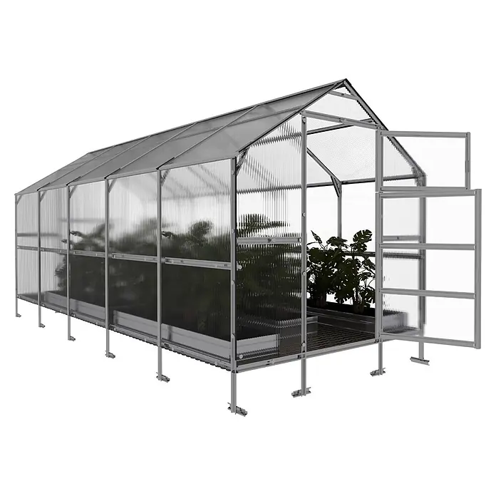 Klasika Greenhouses Gewächshaus Bernard Klasika - Außenmaß inkl. Dachüberstand (B x T): 235 x 500 cm, Material Seitenwand: Kunststoff, 6 mm, Silbergrau - Gewächshaus mit grauem Metallrahmen, transparenten Wellplatten, offener Tür und Pflanzen.