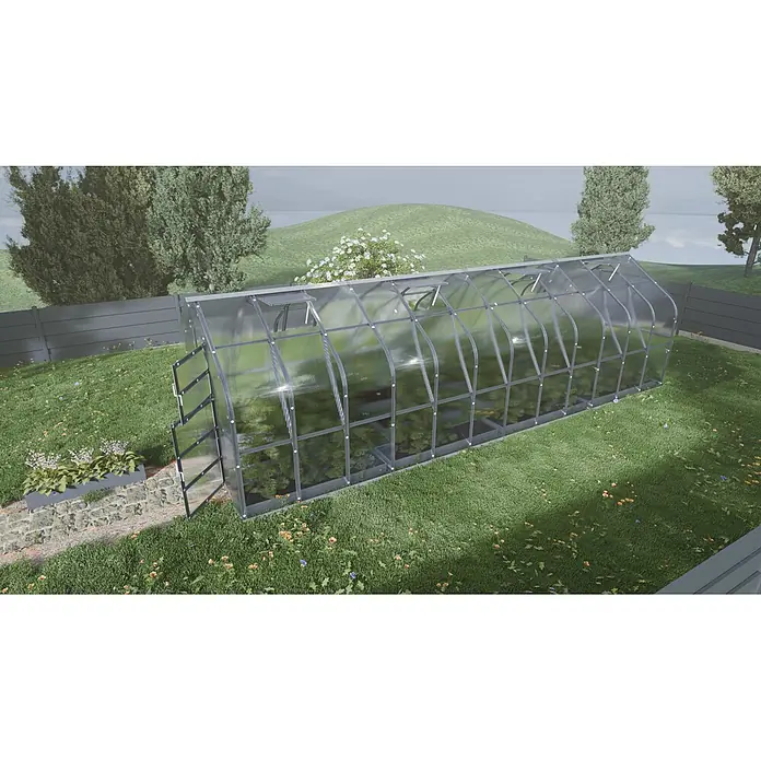 Klasika Greenhouses Gewächshaus Standart Klasika - Außenmaß inkl. Dachüberstand (B x T): 250 x 800 cm, Material Seitenwand: Kunststoff, 6 mm, Silbergrau - Langes, gewölbtes Gewächshaus mit transparenten Platten und grauem Rahmen, in einem Garten mit Pflanzen.