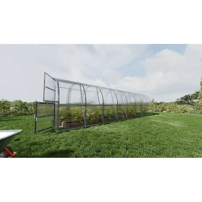 Klasika Greenhouses Gewächshaus Baltic Lt Klasika - Außenmaß inkl. Dachüberstand (B x T): 300 x 800 cm, Material Seitenwand: Kunststoff, 6 mm, Silbergrau - Transparentes Polycarbonat-Gewächshaus mit Metallrahmen, offener Tür und Pflanzen.