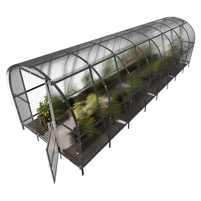Klasika Greenhouses Gewächshaus Baltic Lt Klasika - Außenmaß inkl. Dachüberstand (B x T): 300 x 800 cm, Material Seitenwand: Kunststoff, 6 mm, Silbergrau - Tunnelgewächshaus mit transparenten Polycarbonatplatten und dunkelgrauem Metallrahmen, Tür offen, Pflanzen sichtbar.