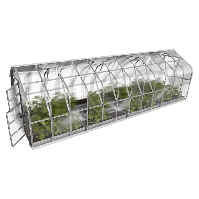 Klasika Greenhouses Gewächshaus Standart Klasika - Außenmaß inkl. Dachüberstand (B x T): 250 x 800 cm, Material Seitenwand: Kunststoff, 6 mm, Silbergrau - Silbernes Mini-Gewächshaus mit transparenten Paneelen, aufklappbarer Tür und grünen Pflanzen.